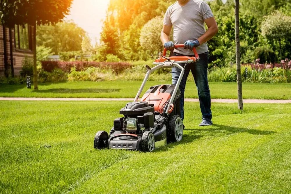 Tuns gazon - LAMIX ENTERPRISE